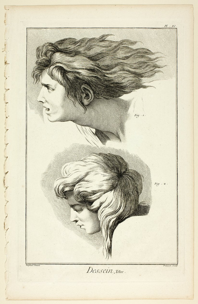 Design: Heads, from Encyclopédie by Benoit Louis Prevost