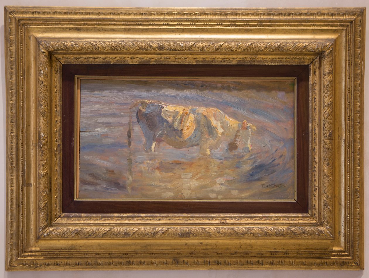 Cow by Beppe Ciardi