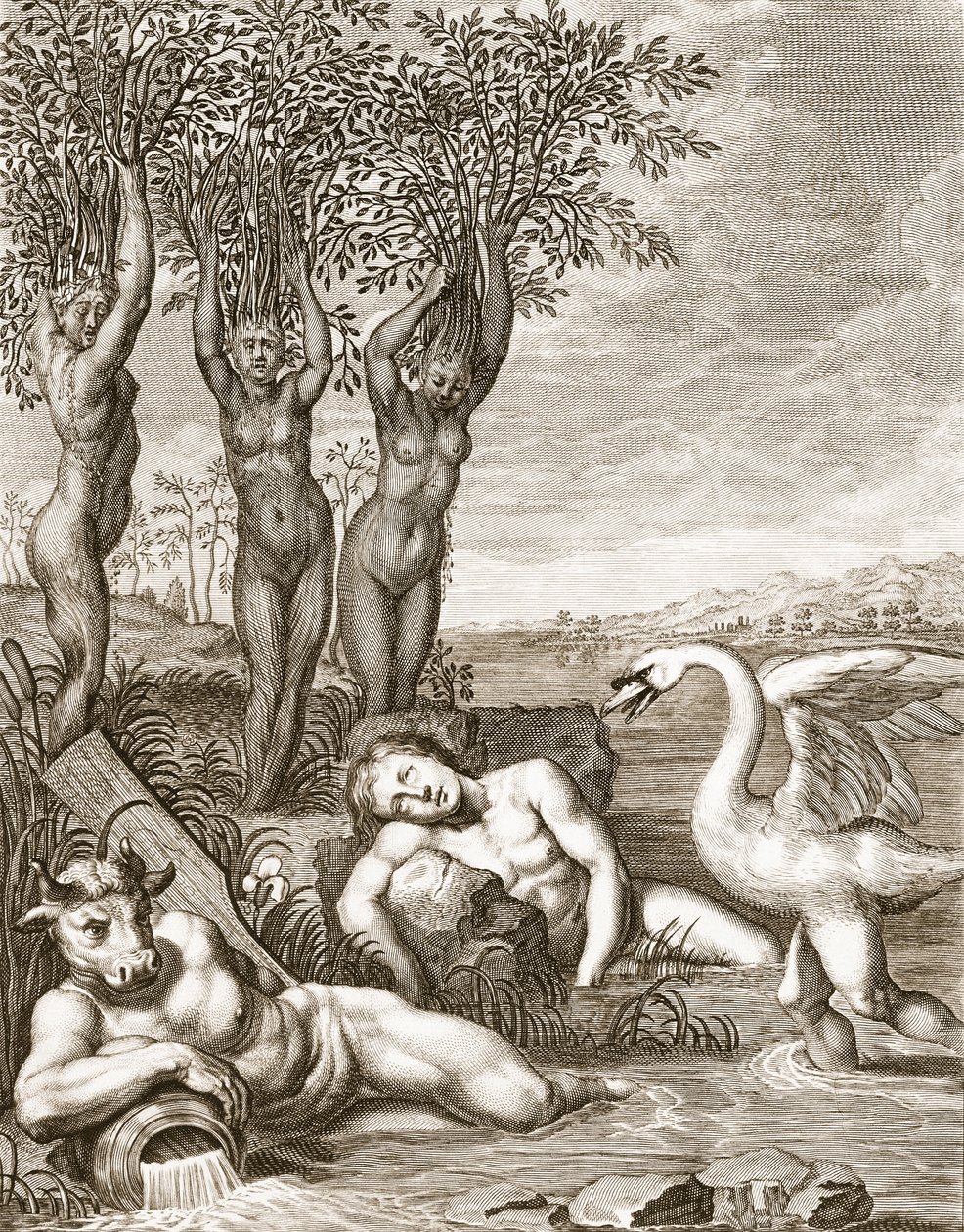 Cygnus Transformed into a Swan and Phaeton
