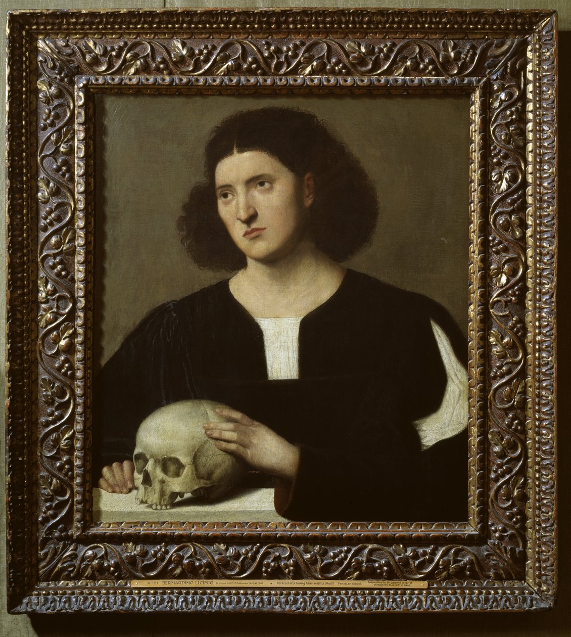 Portrait of a Young Man with a Skull by Bernardino Licinio