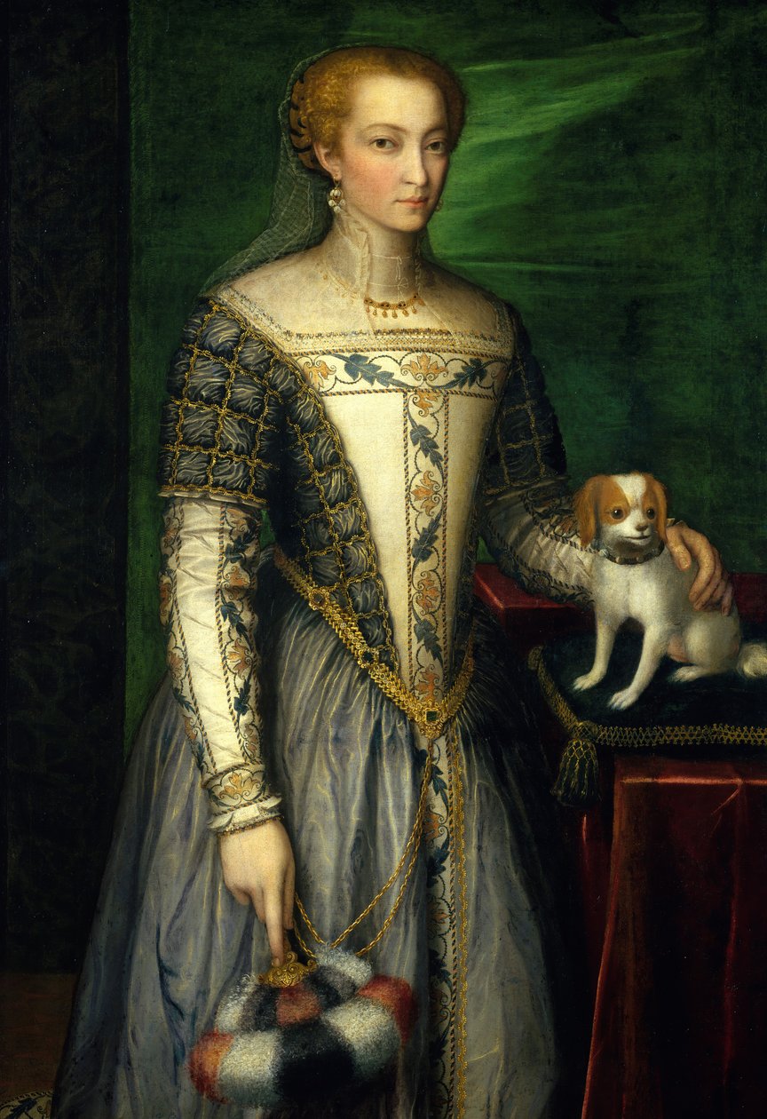 Portrait of a Woman by Bernardino Campi