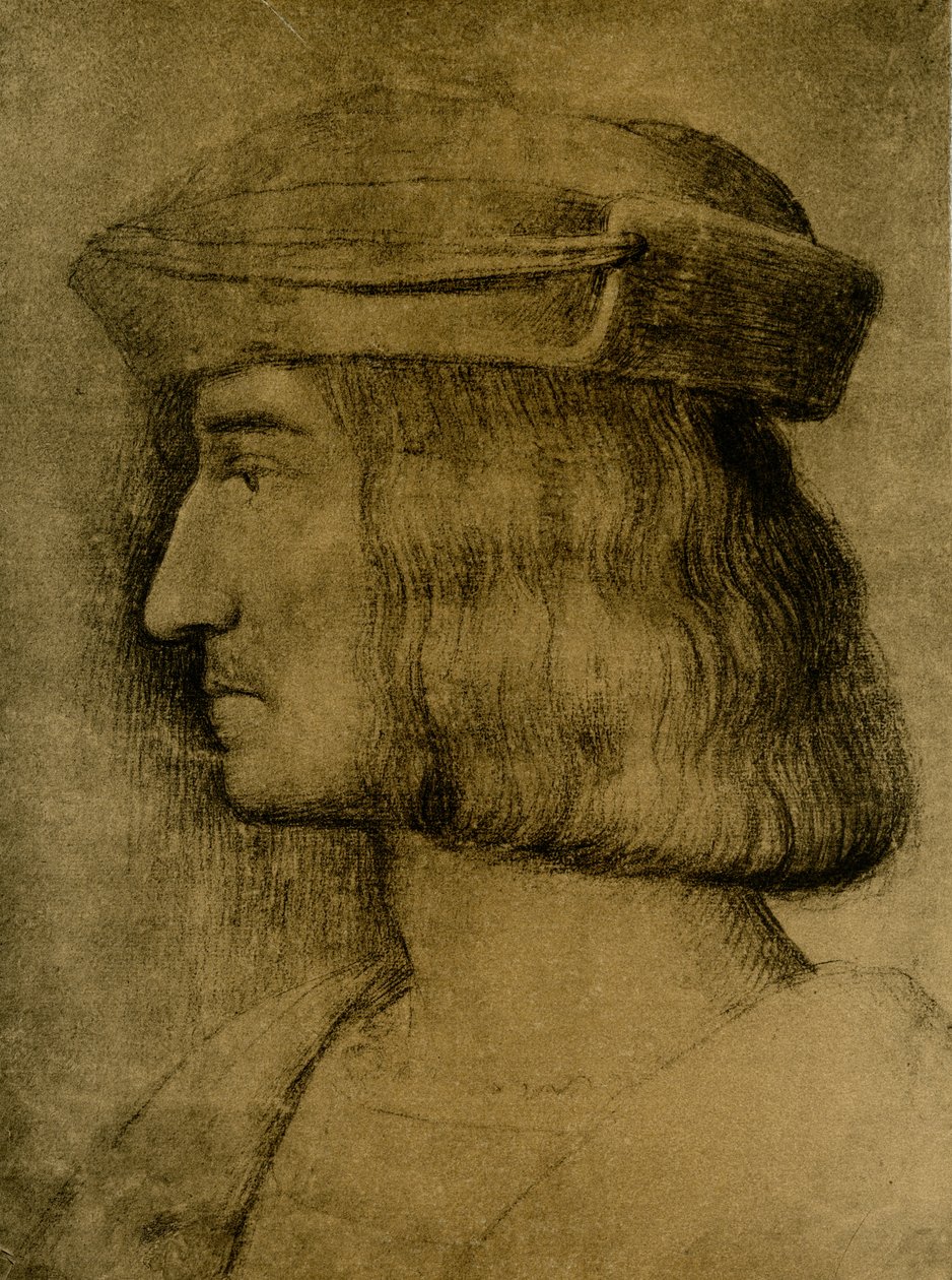 Male Portrait by Bernardino Luini