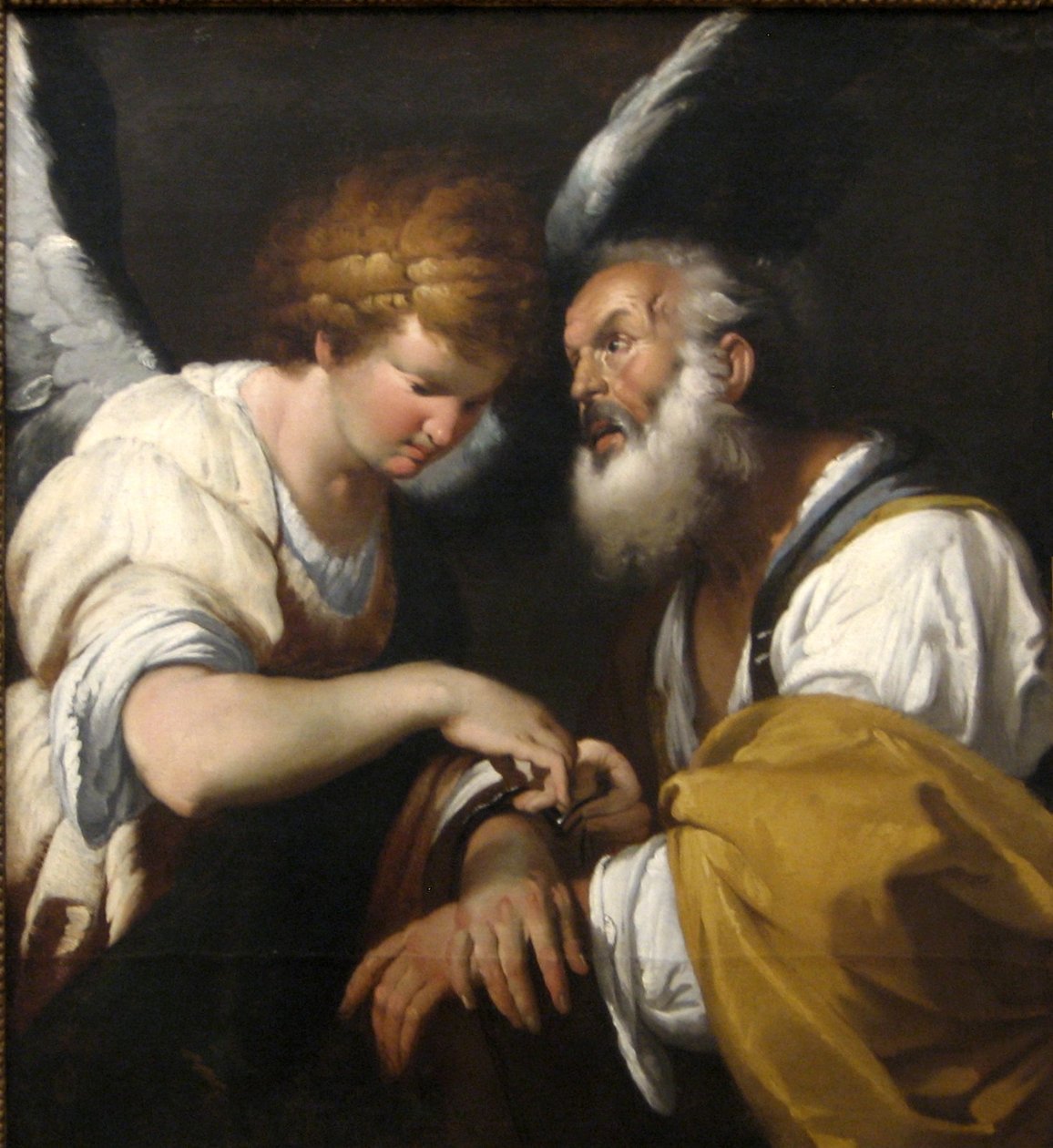 The Release of St Peter by Bernardo Strozzi
