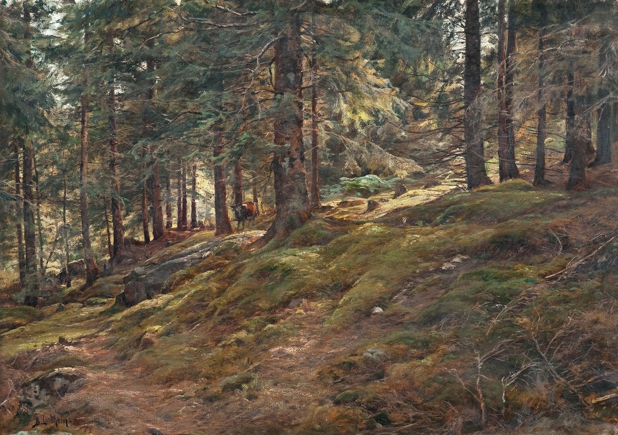 Light in the Woods by Berndt Lindholm