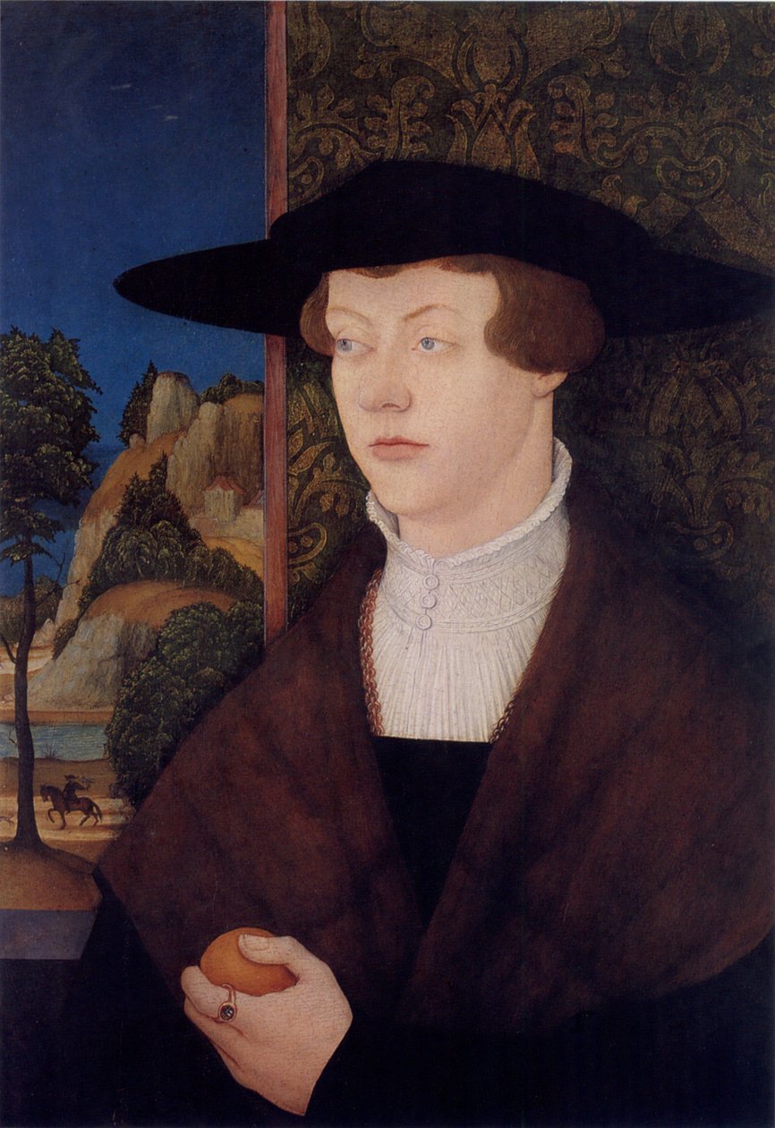 Portrait of the Memmingen Patrician Hans Rott by Bernhard Strigel