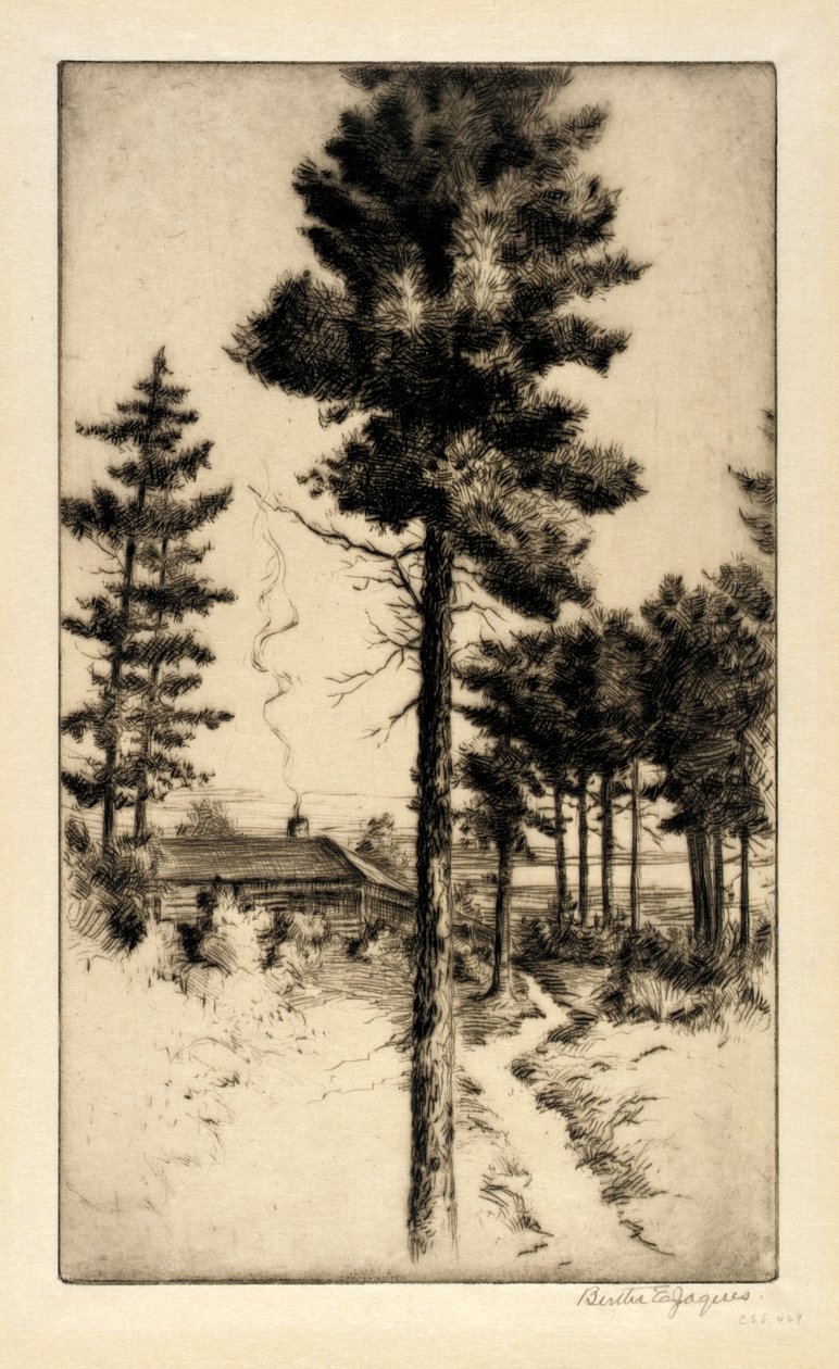 Cabin in Wilderness by Bertha E. Jaques