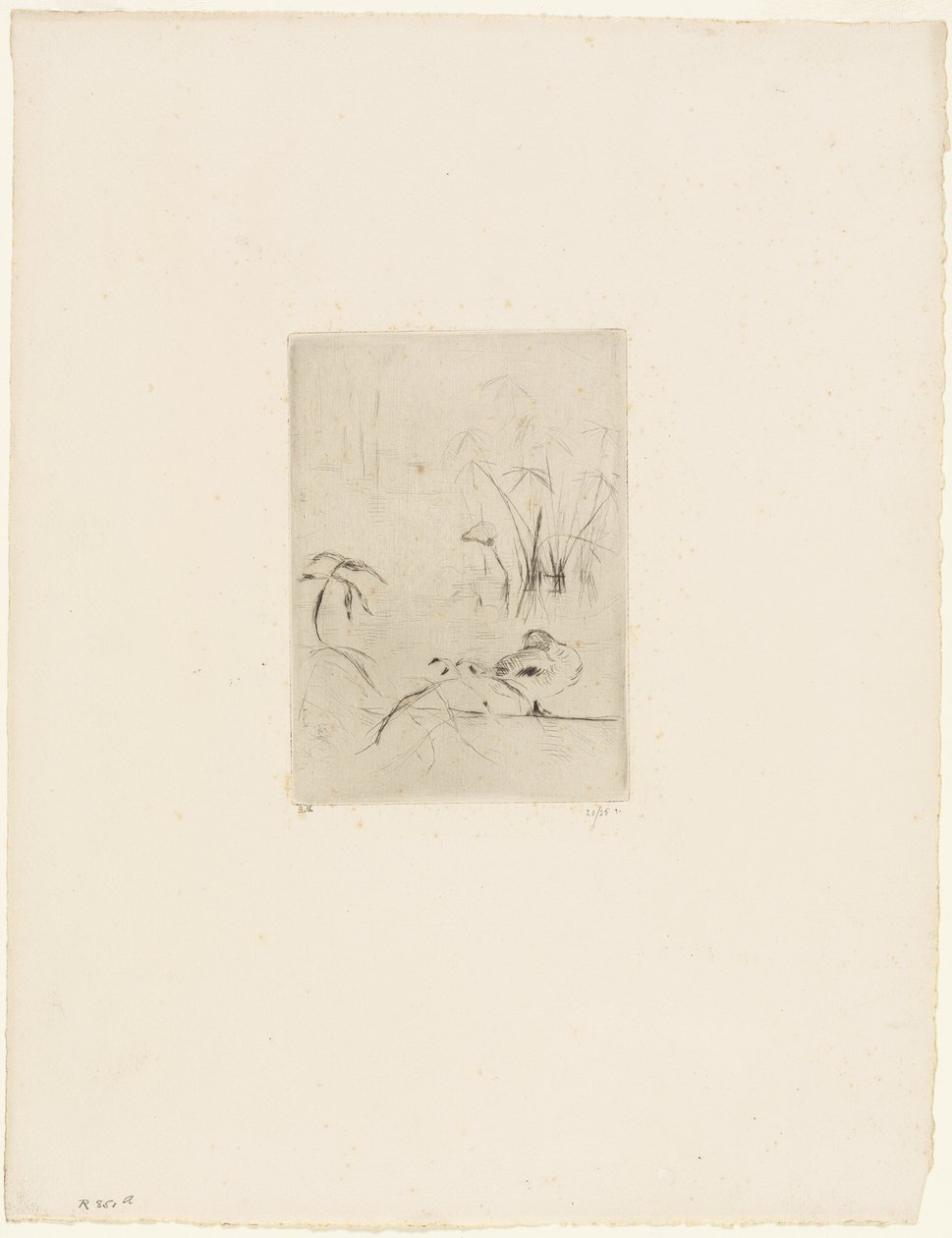 The Duck by Berthe Morisot