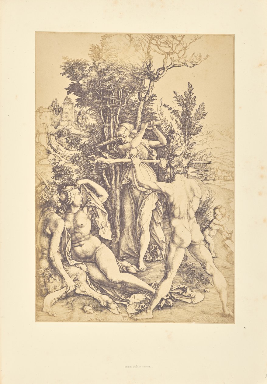 The Effect of Jealousy by Bisson Frères
