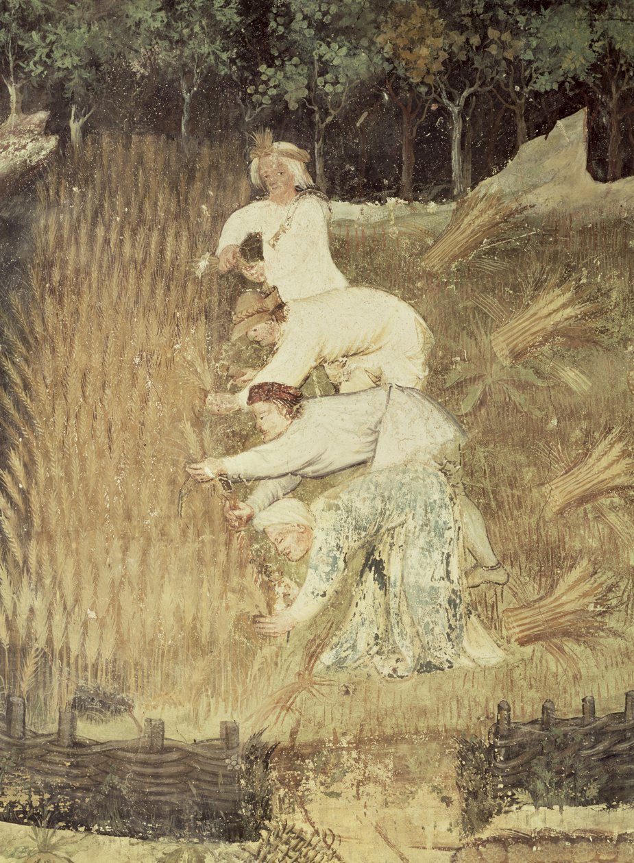 The Month of August, detail of the harvest, c.1400 by Bohemian School