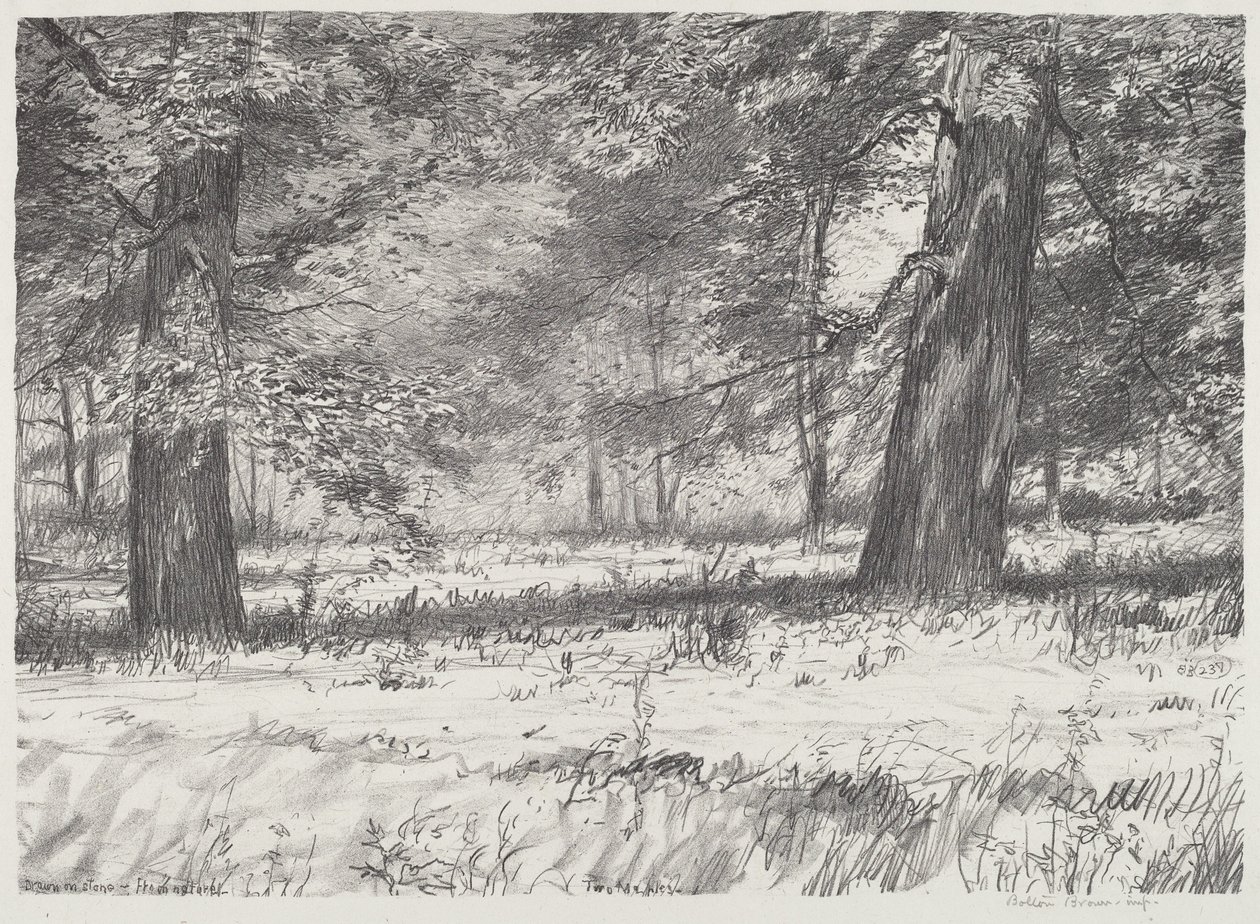 Two Maples by Bolton Brown
