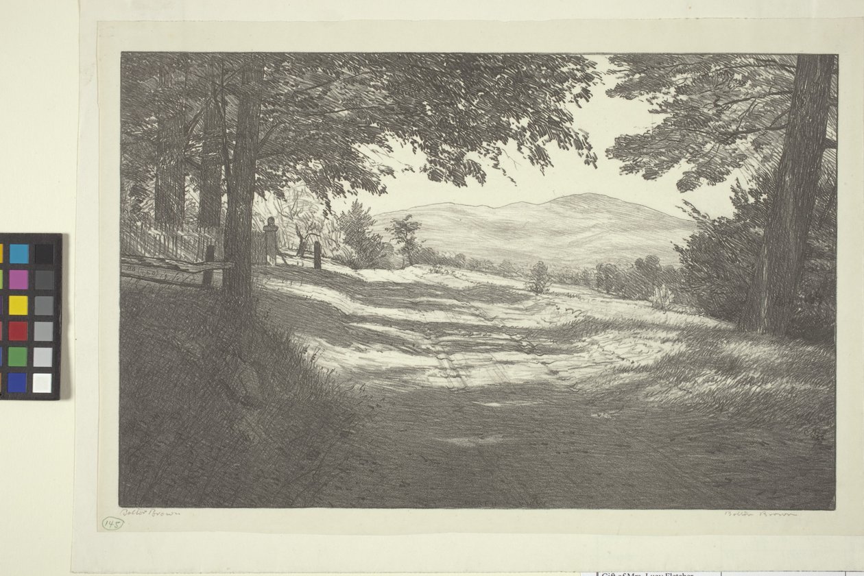 North View by Bolton Coit Brown