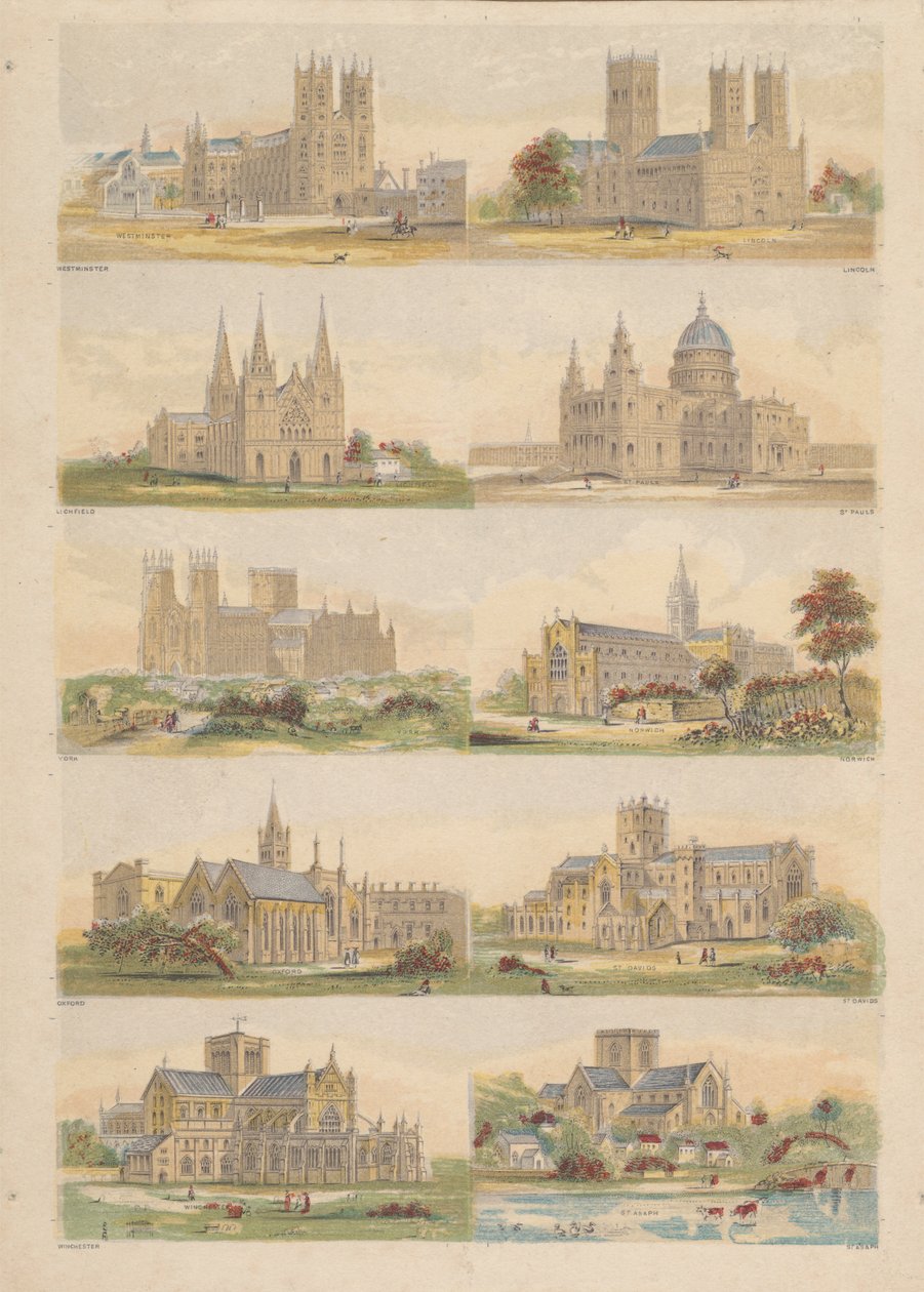 Cathedrals in England by Bradshaw and Blacklock