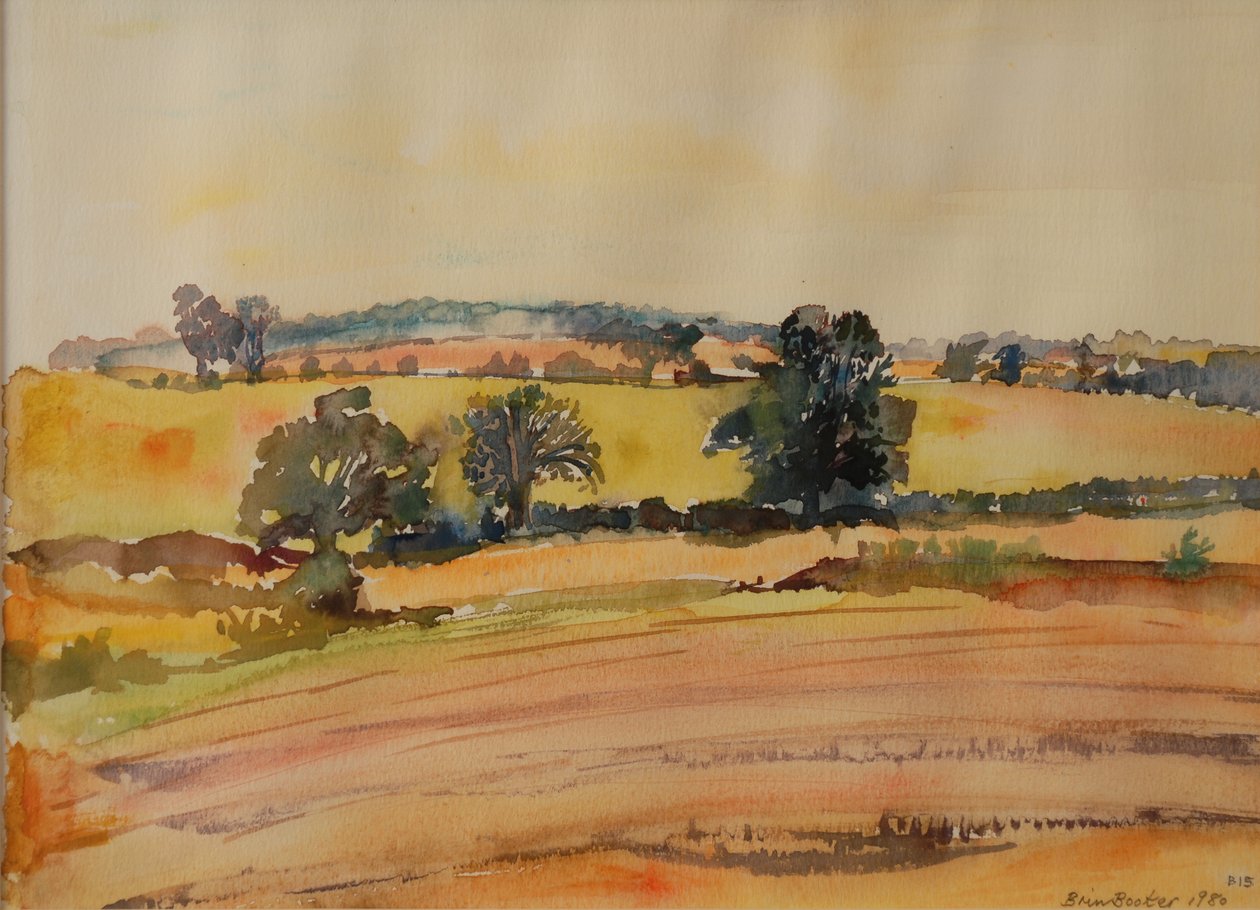 Suffolk Landscape, 1980 by Brenda Brin Booker