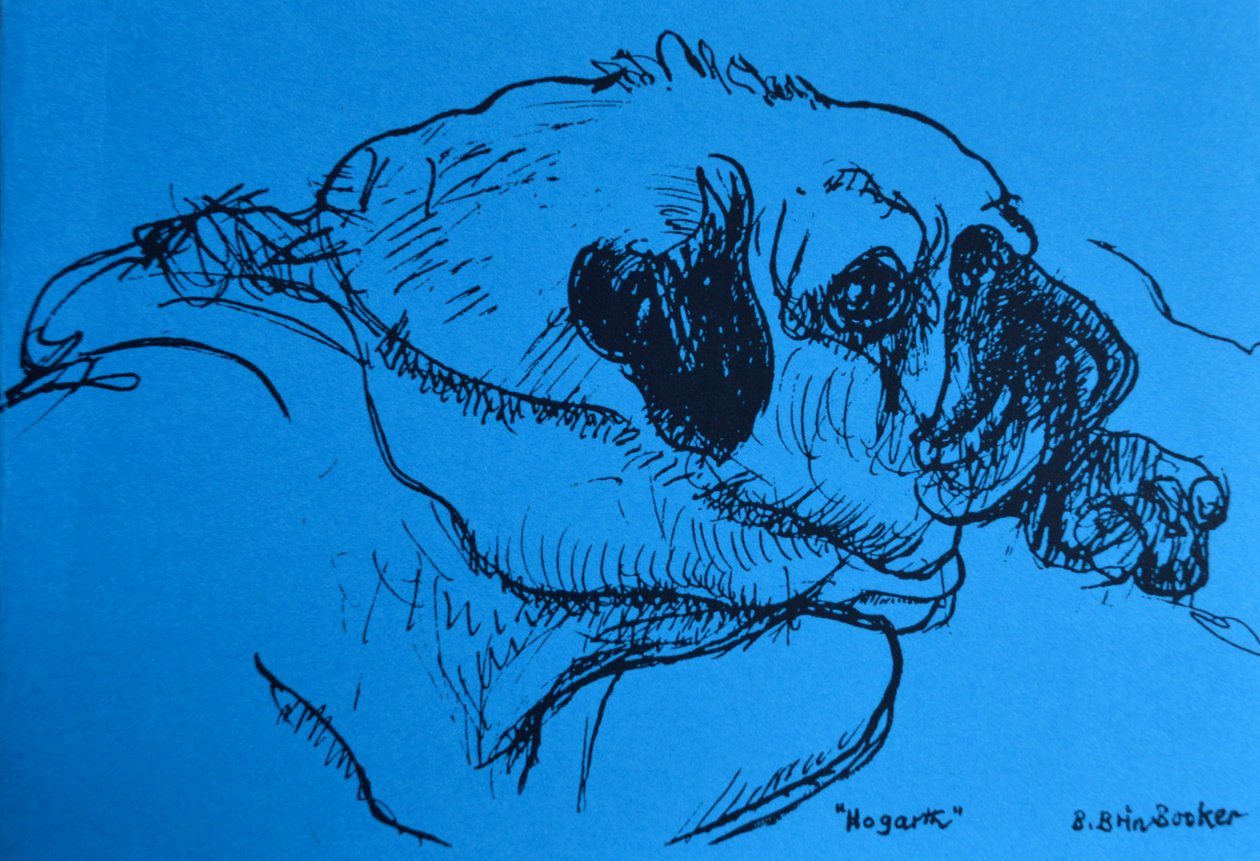 Hogarth by Brenda Brin Booker
