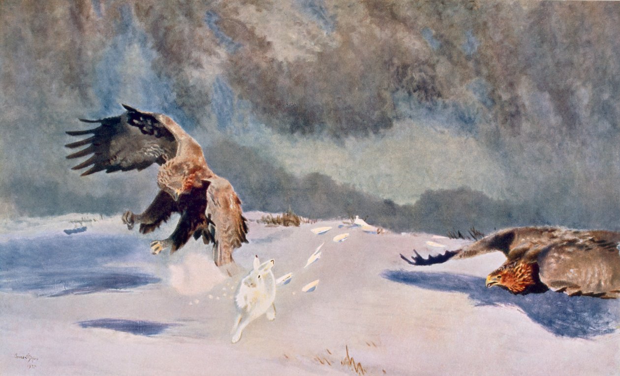 Eagles and Rabbit, 1922 by Bruno Andreas Liljefors