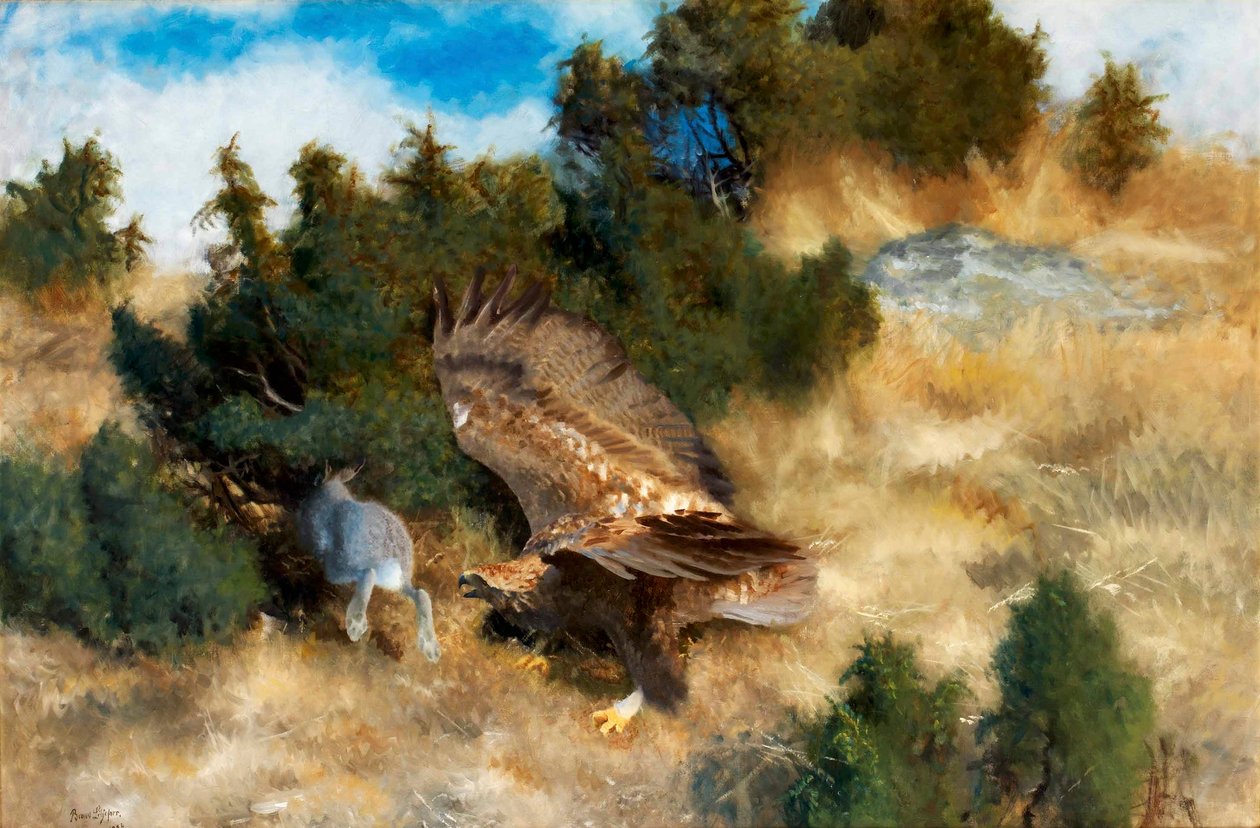 Eagle Hunting Hare by Bruno Andreas Liljefors