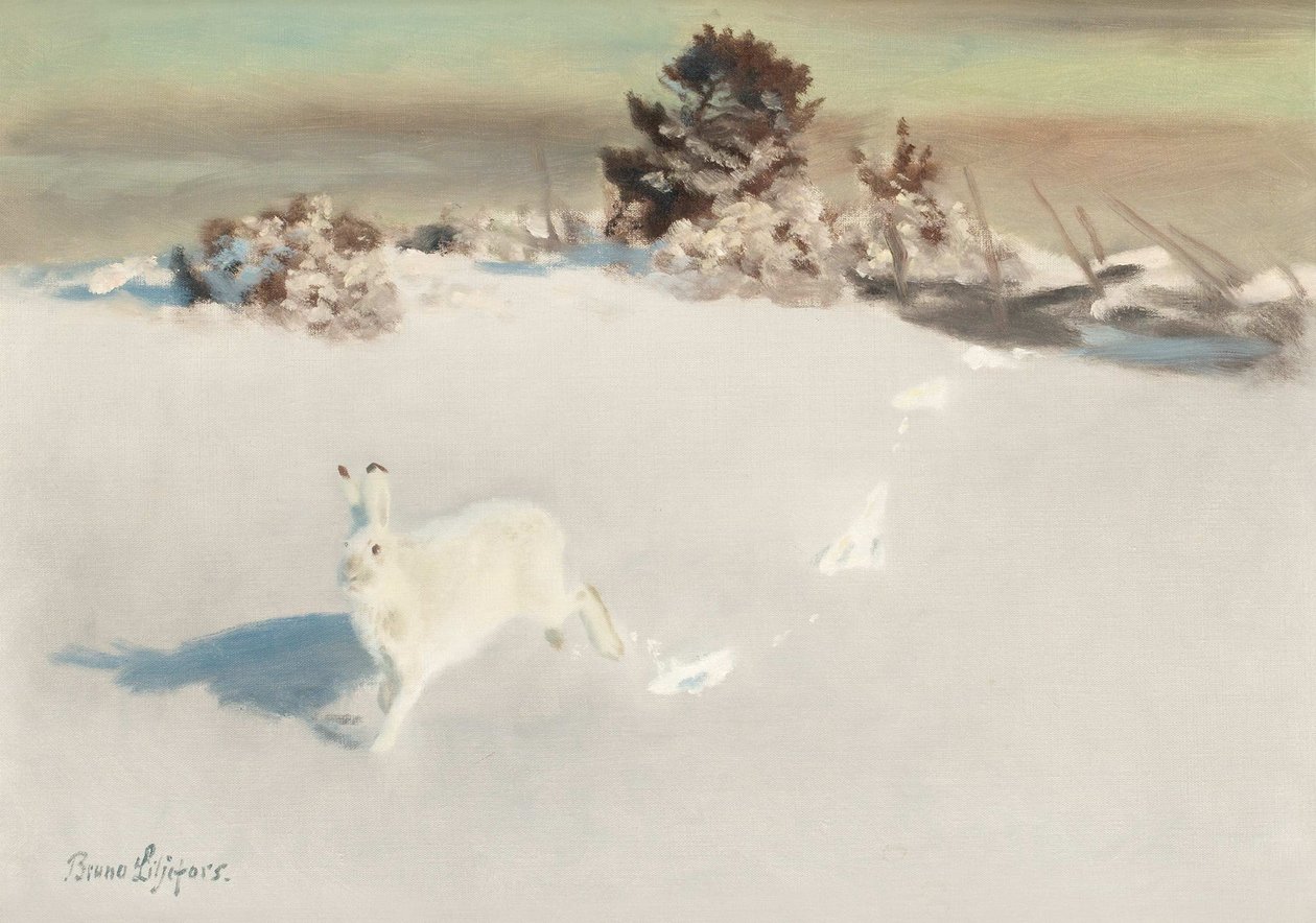Winter Hare by the Fence by Bruno Andreas Liljefors
