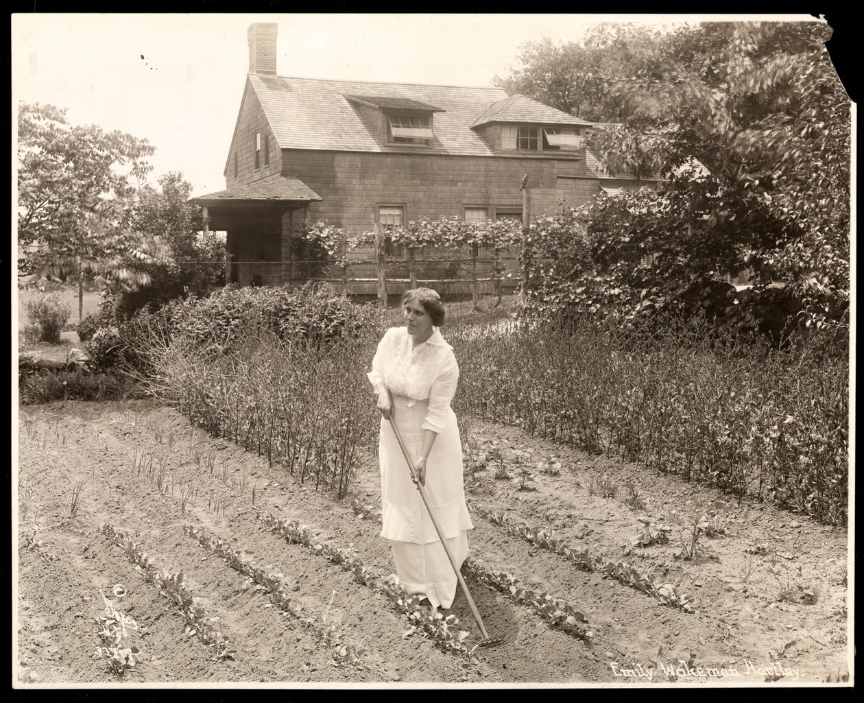Emily Wakeman Hartley by Byron Company