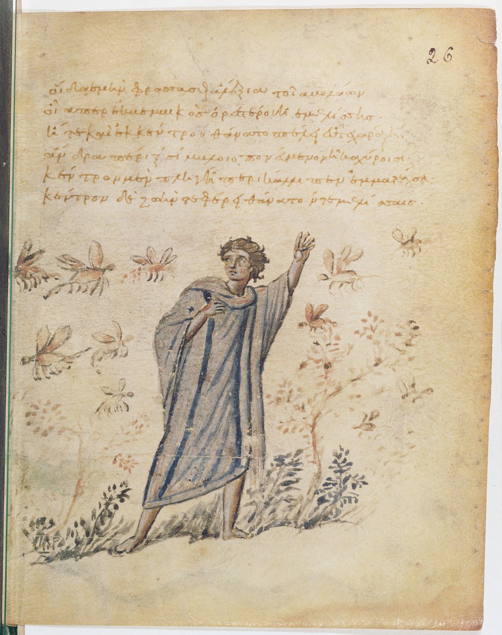 Man escaping from bees, illustration from Theriaca of Nicander of Colophon by Byzantine