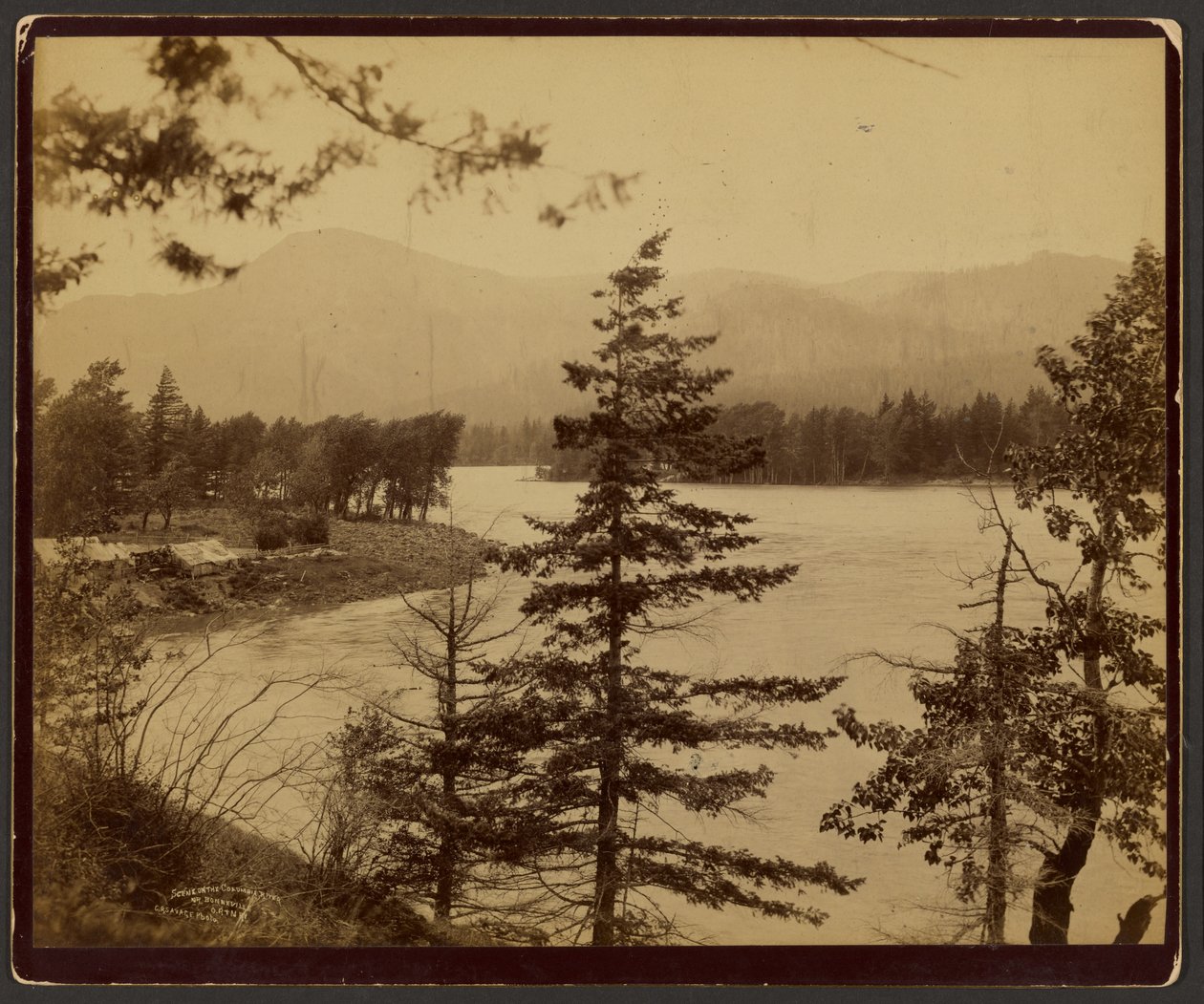 Scene on the Columbia River by C. R. Savage