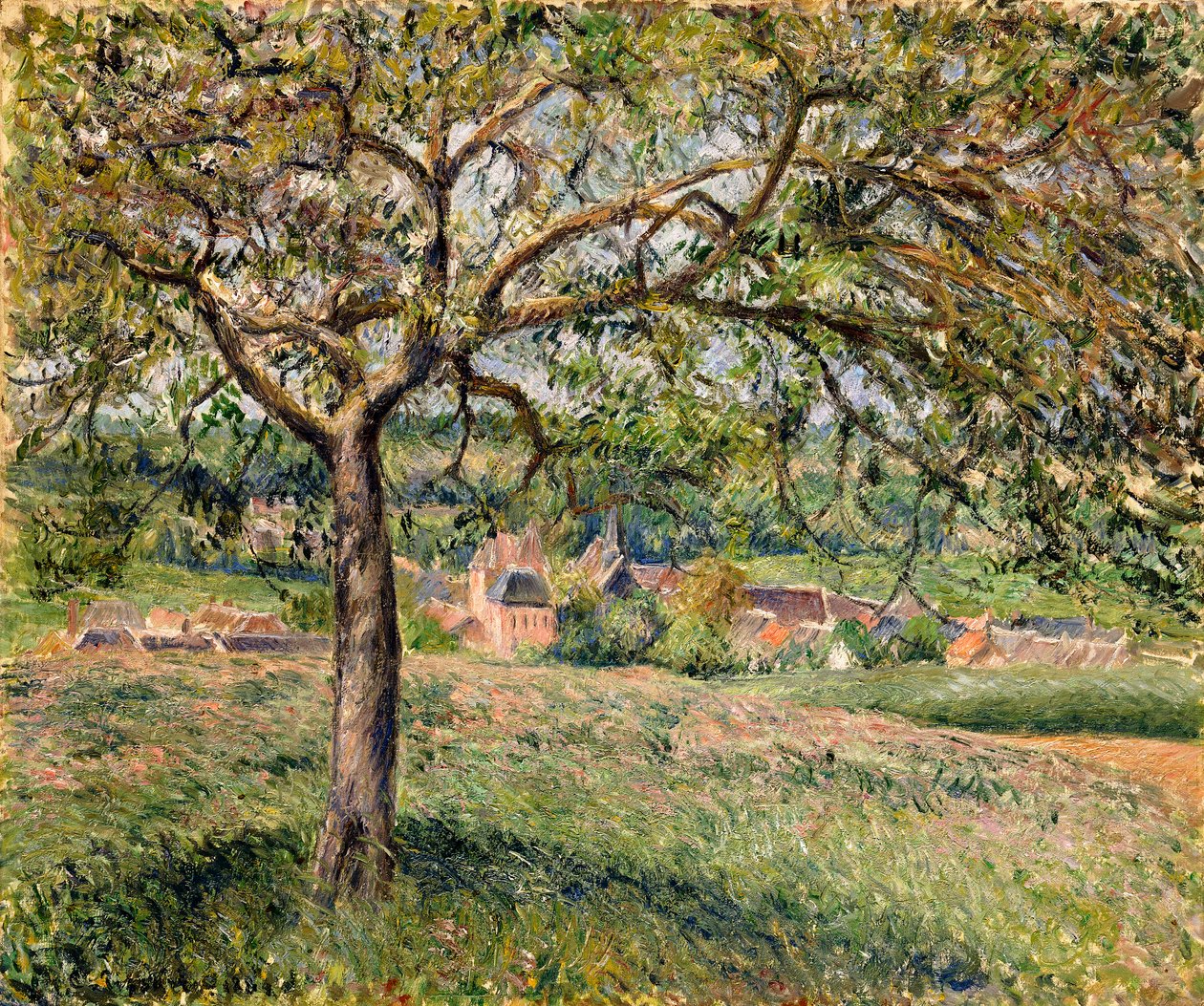 Apple Tree in Eragny by Camille Jacob Pissarro