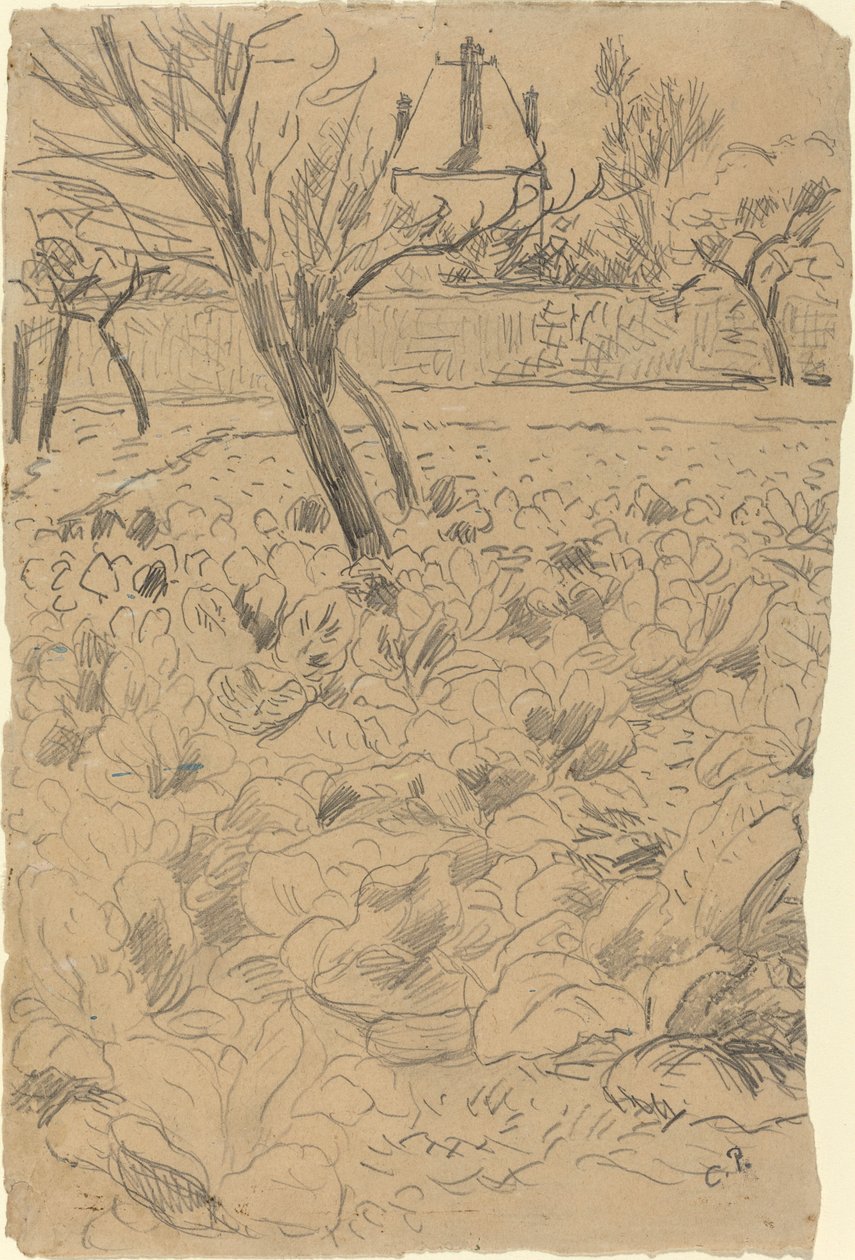 The Cabbage Field by Camille Pissarro