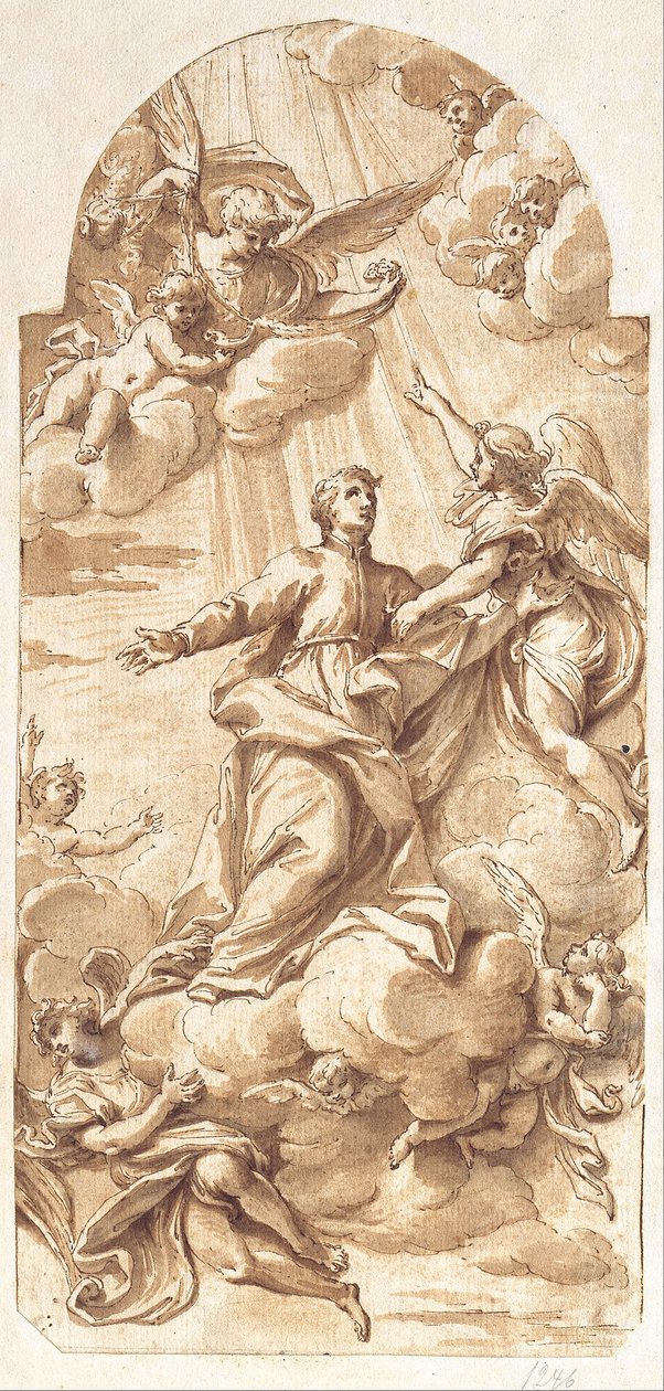 The Glory of Saint John Francis Regis by Camillo Rusconi