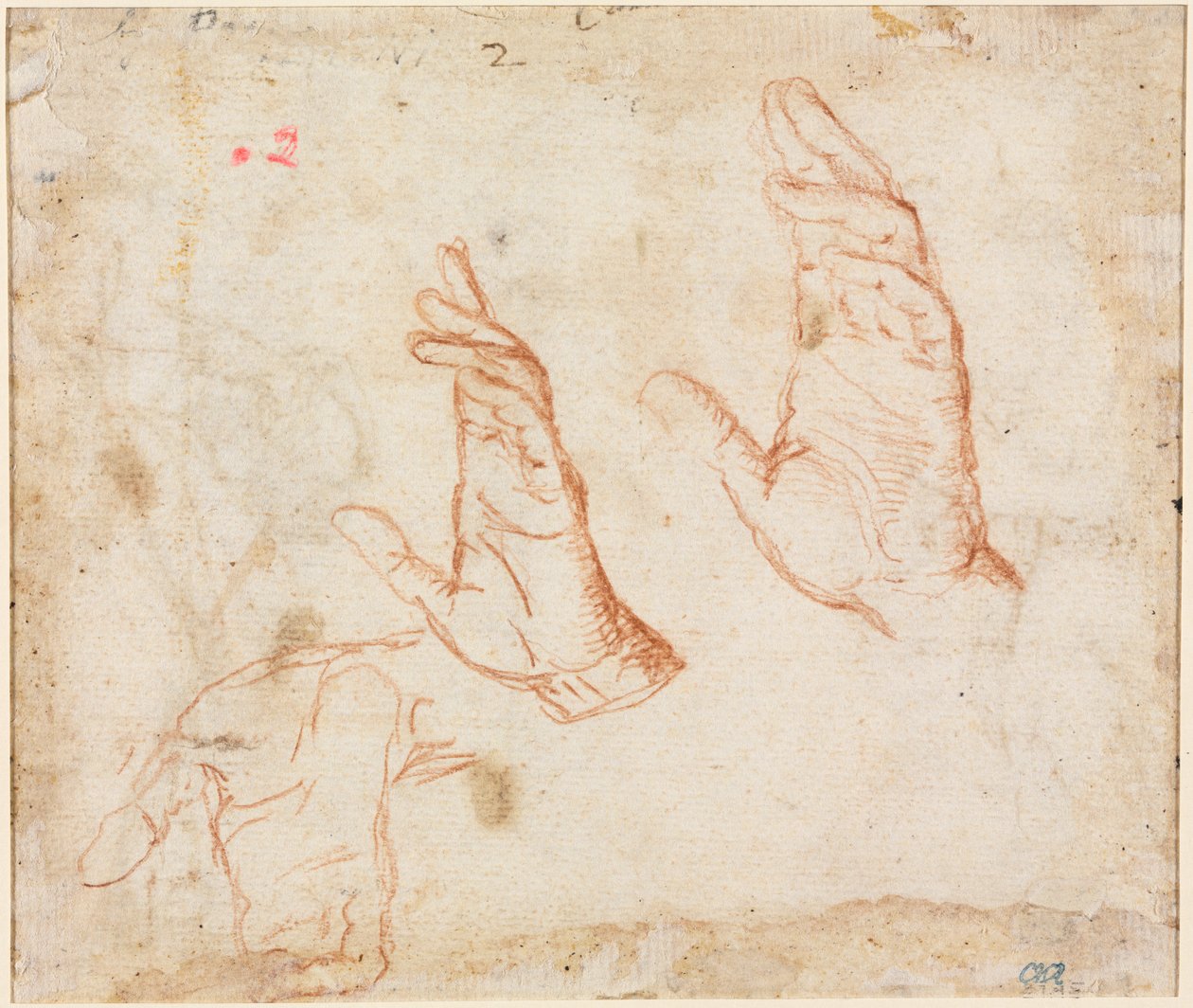 Study of Hands (verso) by Camillo Procaccini