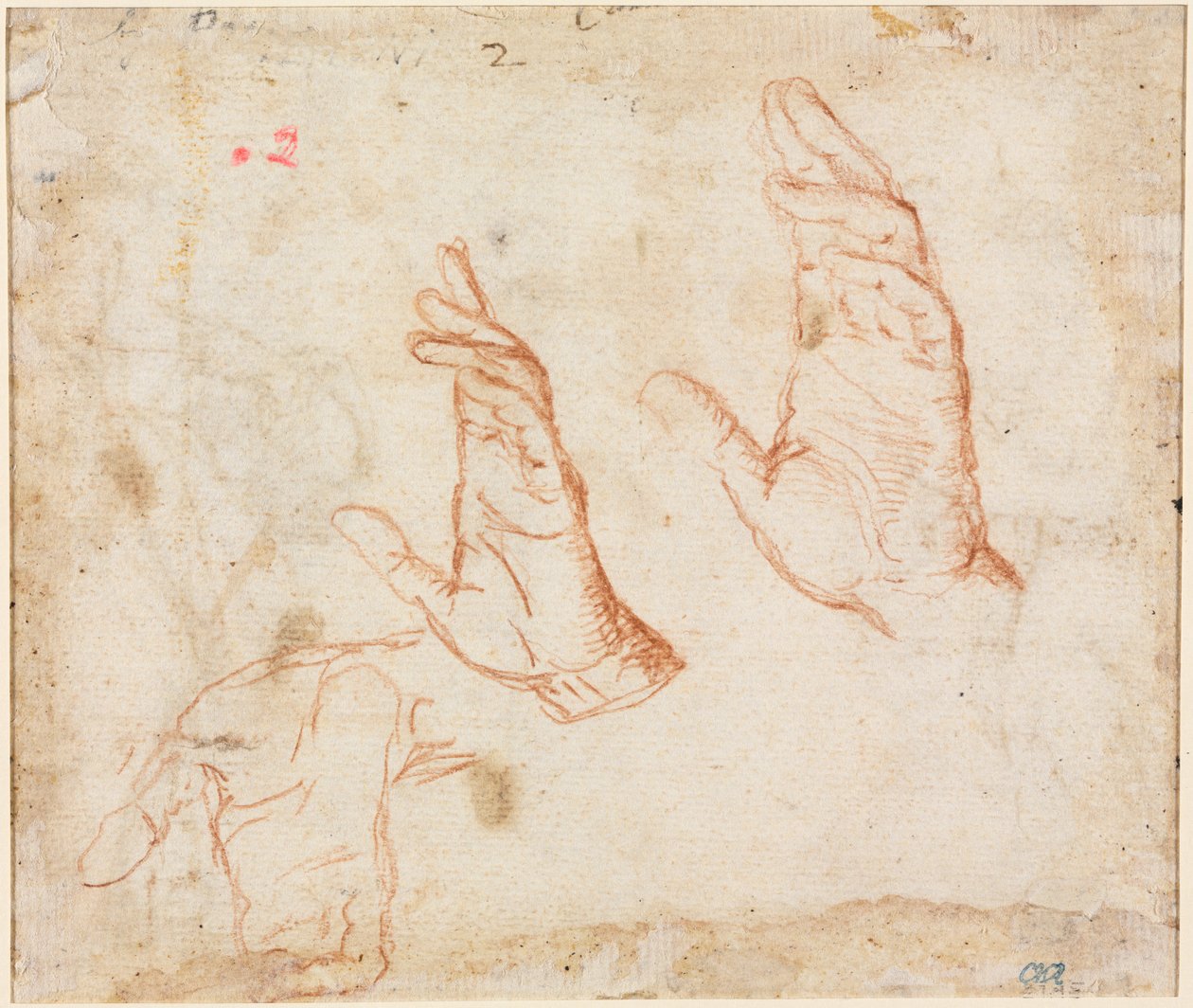 Study of Hands (verso) by Camillo Procaccini