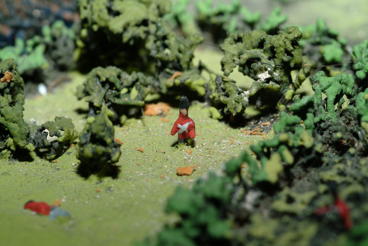Diorama of the Battle of Waterloo Showing Troops Positioned as at 19.45 hrs on 18th June, 1815 (detail) by Capt. William Siborne
