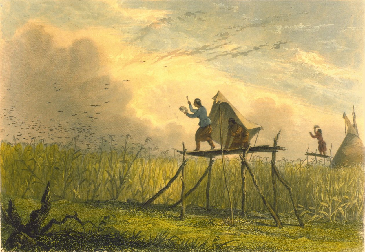Guarding the Corn Fields, 1853 by Captain Seth Eastman
