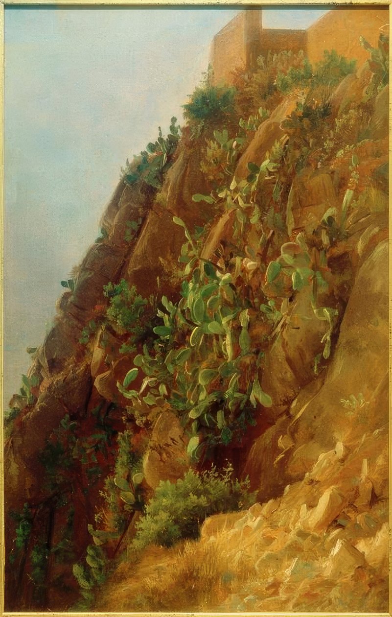 C. Morgenstern, Opuntias on the Slope in Capri by Carl Morgenstern