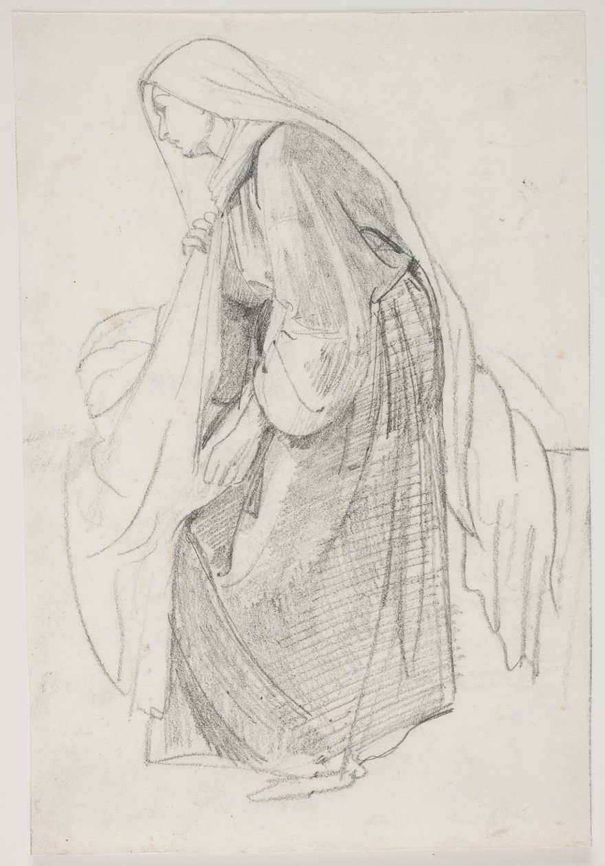 Studies for the Museum