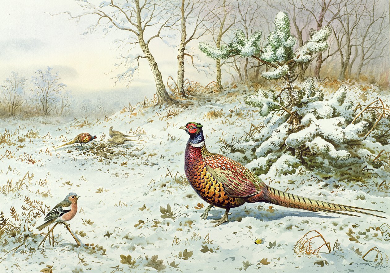 Cock Pheasant and Chaffinch by Carl Donner