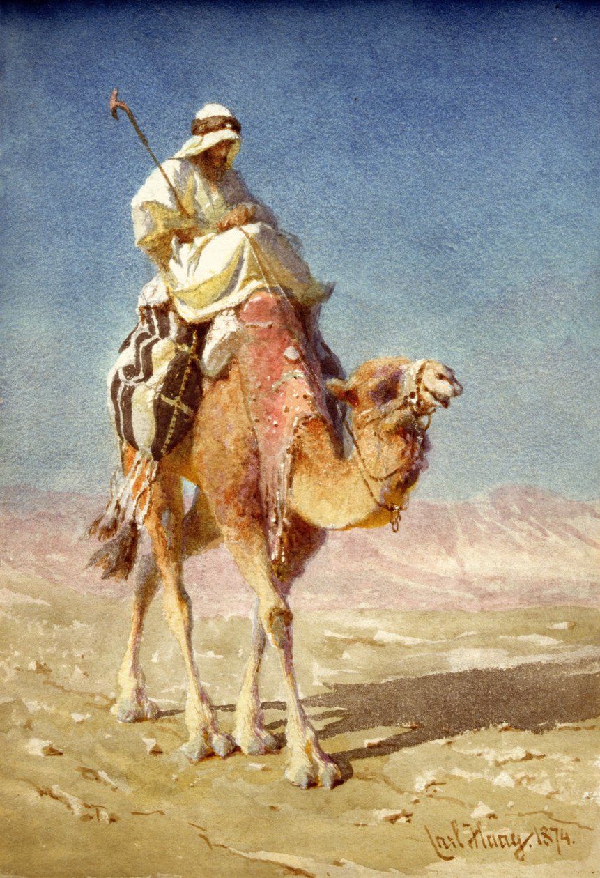 A Bedaween on a Camel