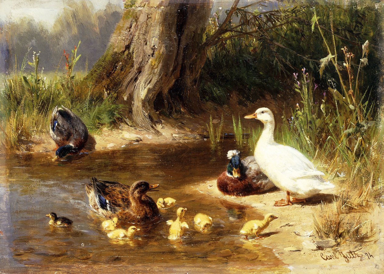 Ducks at the Water