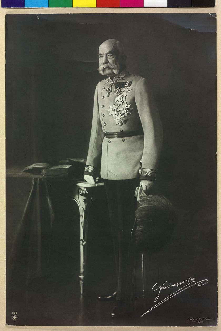 Franz Joseph I by Carl Pietzner