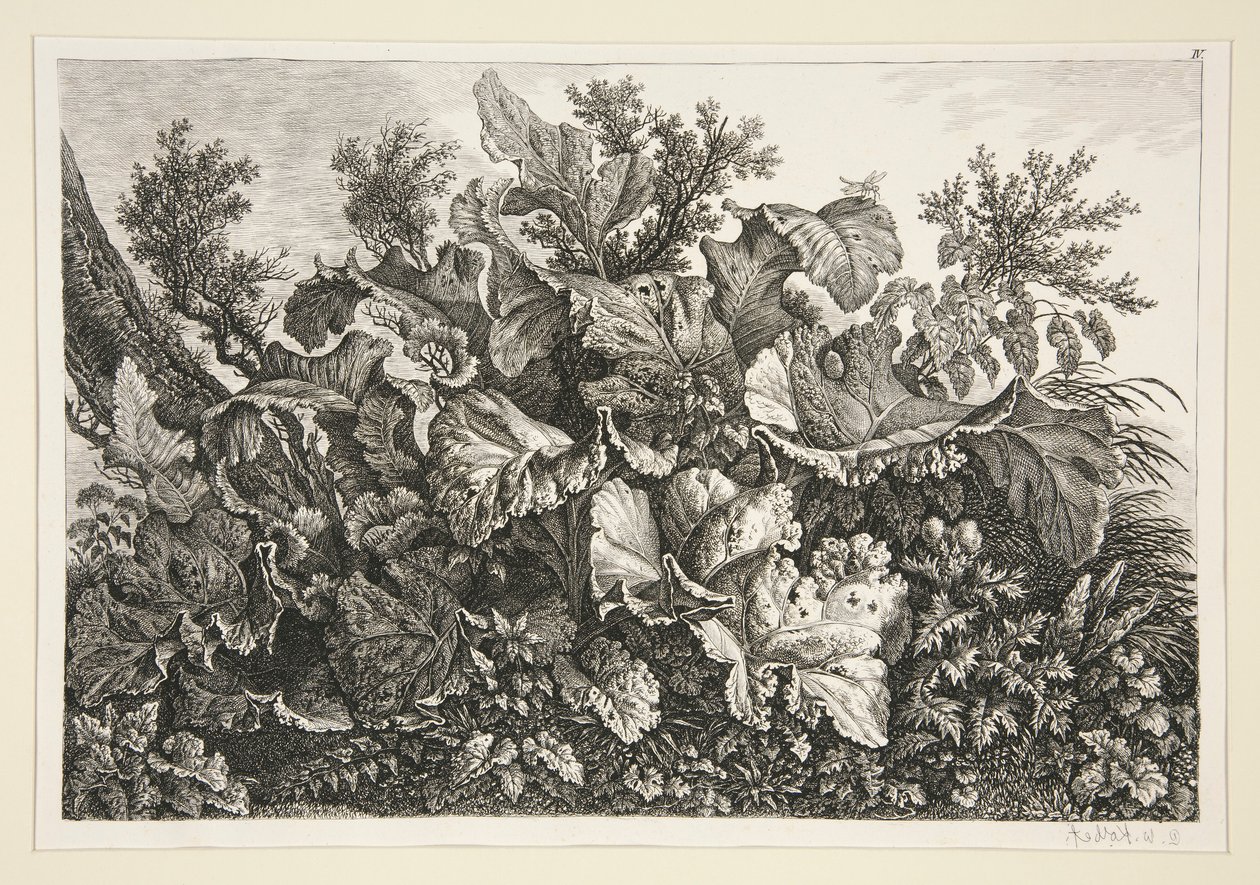 Landscape by Carl Wilhelm Kolbe the elder