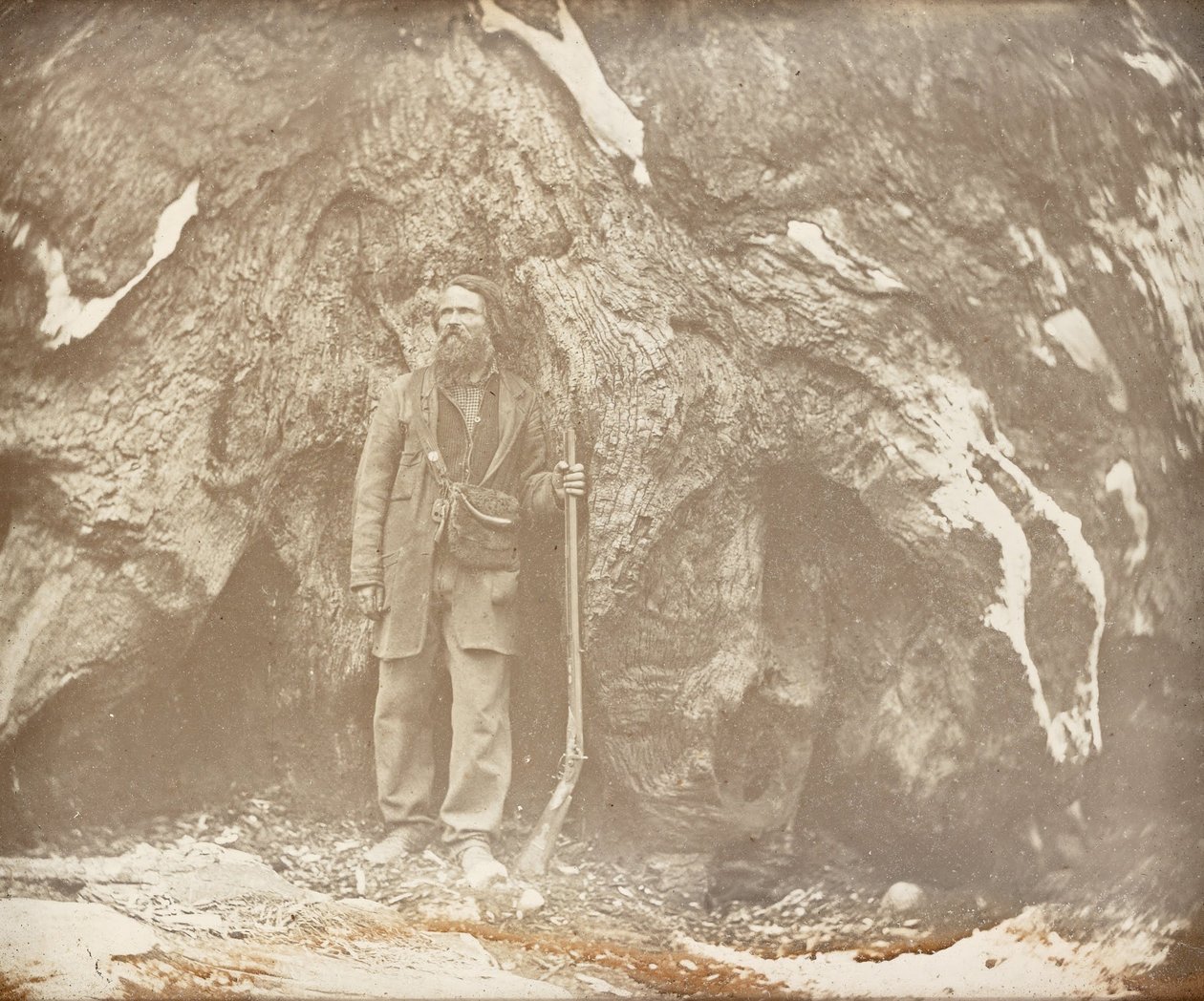 Mariposa Grove. Portrait of Galen Clark by Carleton E. Watkins