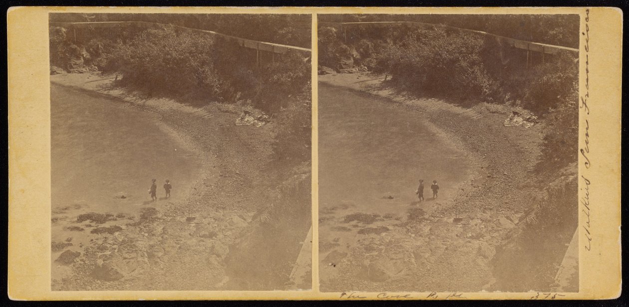 The Cove, San Francisco by Carleton E. Watkins