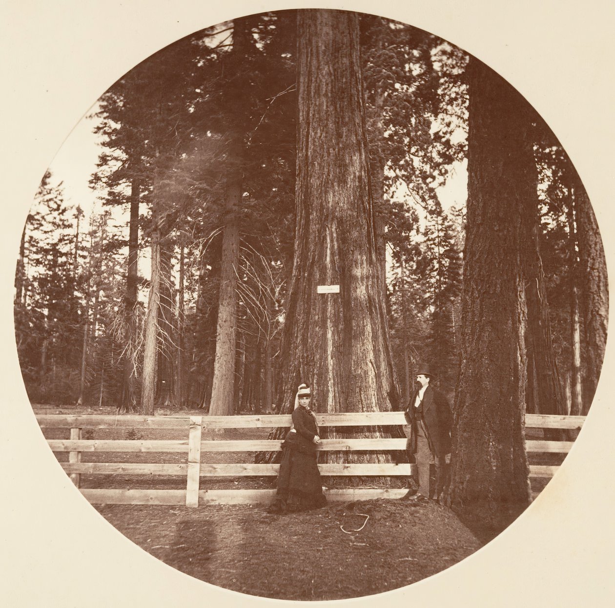 Auld Reckie by Carleton Emmons Watkins