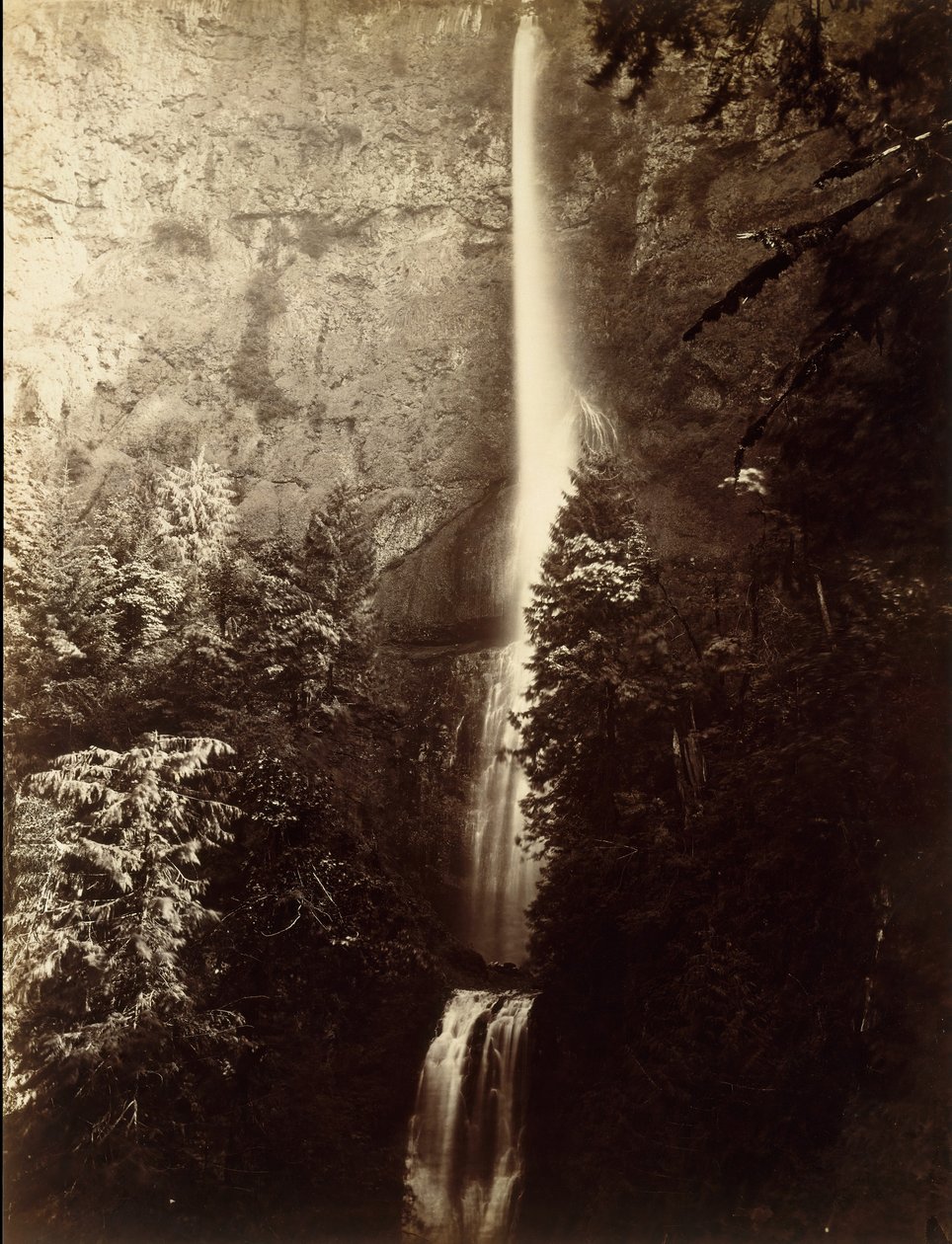 Multnomah Falls Cascade, Columbia River by Carleton Emmons Watkins