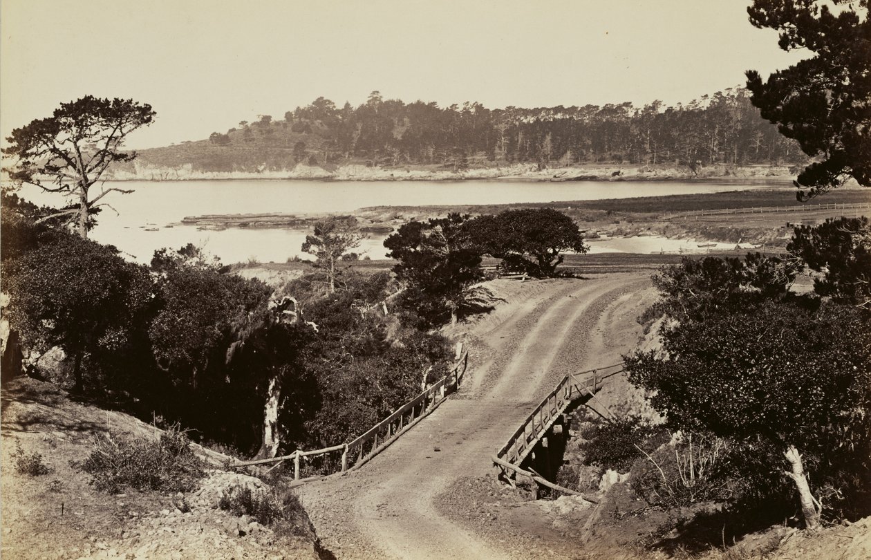Coast View near Monterey by Carleton Watkins