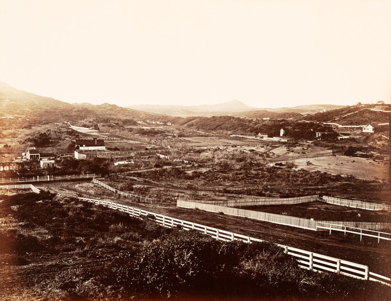 Lone Mountain, from the Orphan Asylum by Carleton Watkins