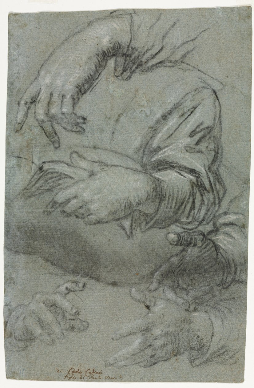 Studies of Hands by Carletto Caliari