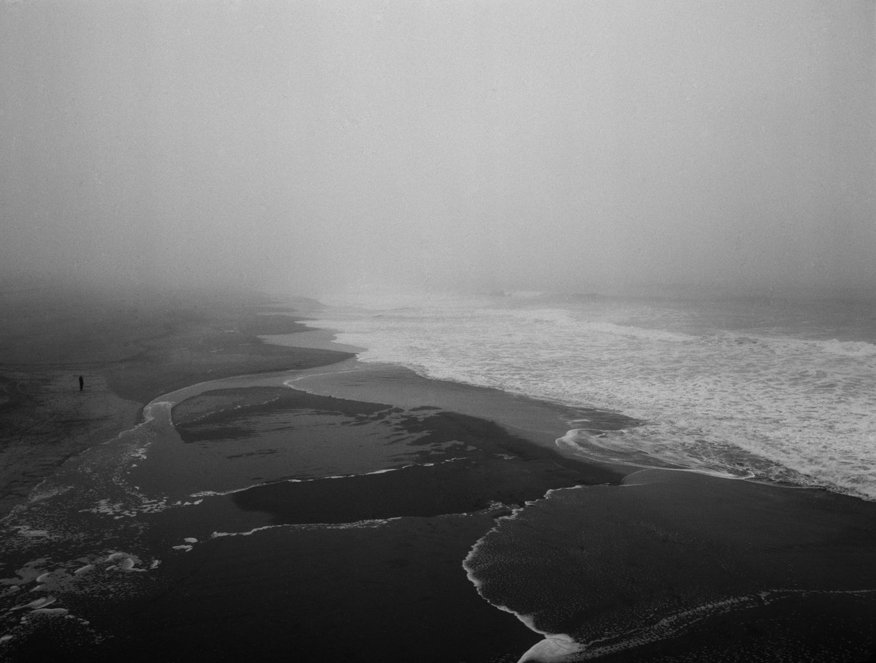 Forever at the Sea, 2012 by Carli Choi