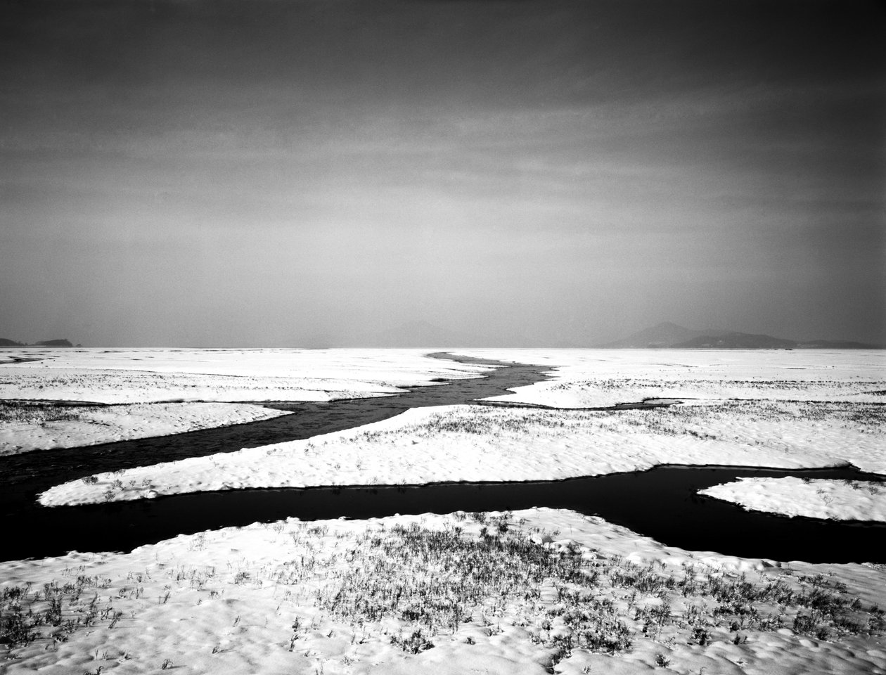 Forever at the Sea, 2012 by Carli Choi