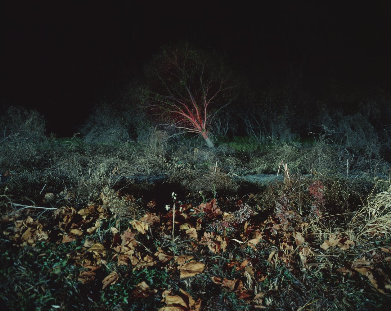 Painting in the Dark, 2011 by Carli Choi