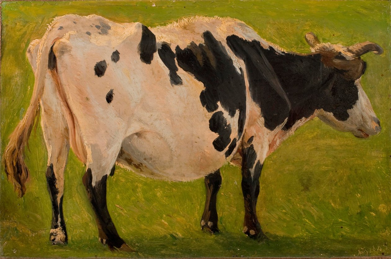 Black and white cow standing (Study) by Carlo Dalgas
