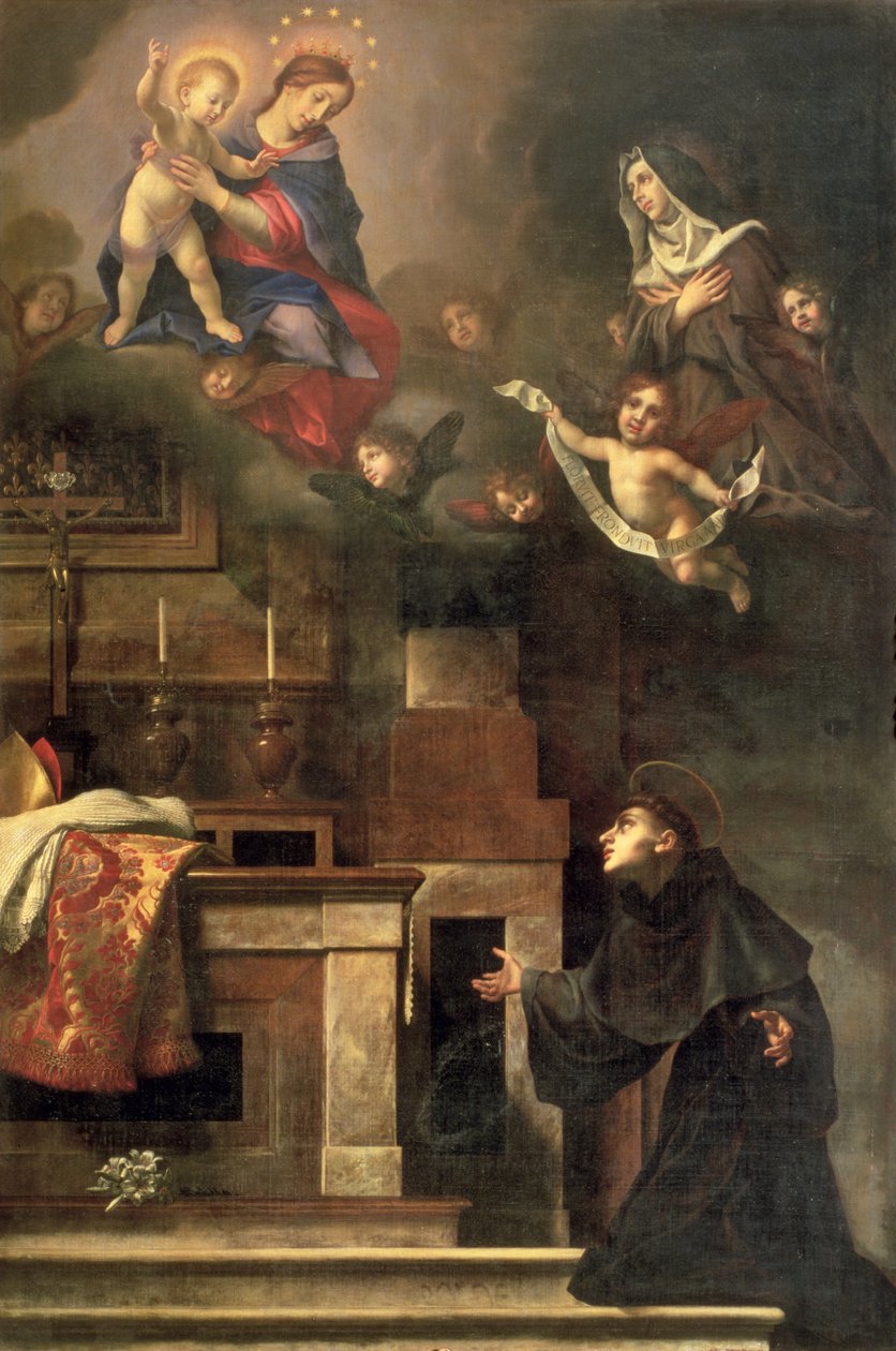 The Virgin Appearing to St. Louis of Toulouse by Carlo Dolci